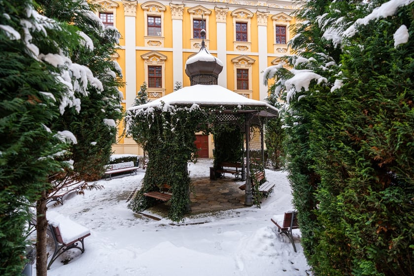 Wirydarz w budynku Wydziału Filologicznego przy pl. Nankiera